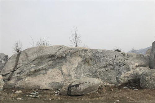 晉城一鳴景觀石 假山石的匠心與自然之韻